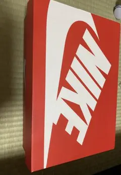 Nike DR9761-005 スニーカー グレー/ホワイト