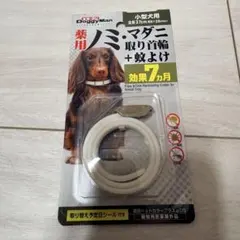 Item thumbnail for item 0dd2fd9f-cd66-4ab5-8b38-d8480e877bb6