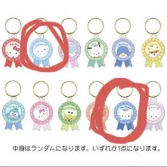 サンリオ　ロゼットレイヤーキーリング2点set シナモロール　ディアダニエル