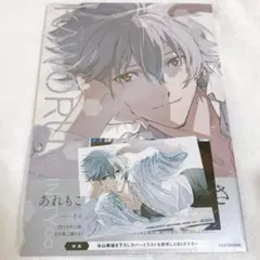 KAWORU INFINITY∞ 渚カヲル写真集 2　アニメイト特典付き