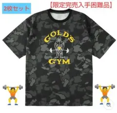 【限定完売品】迷彩柄にバーベルを取り入れた ゴールドジム バーベルカモTシャツのサムネイル