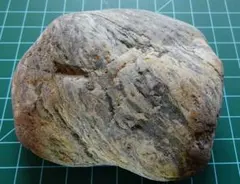 津軽半島　小泊産　天然石 水石 鑑賞石 紋様石 盆石 津軽海峡 鬼泊産 天然石 水石 鑑賞石 紋様石 盆栽石 - メルカリ