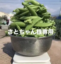 さとちゃん様専用