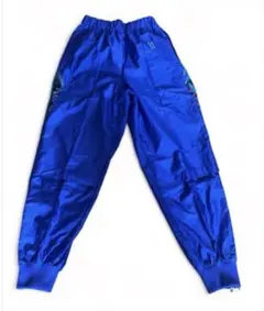 ミズノ　MIZUNO ジャージ　ブルー