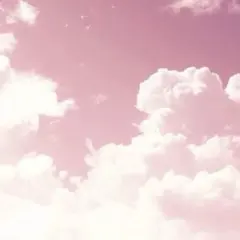 みる様専用ページ