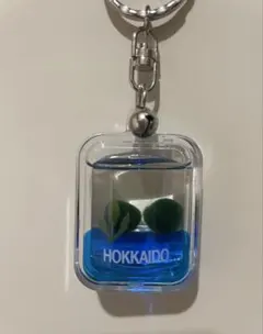 北海道限定 マリモ キーホルダー