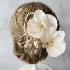 胡蝶蘭和装髪飾り シャンパンカラーの胡蝶蘭 金の蕾付き 結婚式 卒業式 成人式