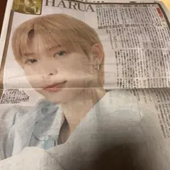 &TEAM HARUA スポーツ報知　新聞記事