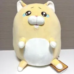 モフ缶 泣きむし猫のキィちゃん ましゅもっち ぬいぐるみ やさしい猫の