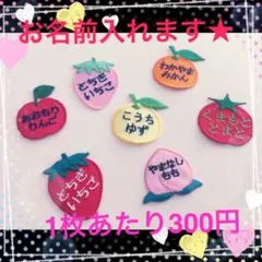 【7】可愛いお名前ワッペン大★5枚セット★入学準備★