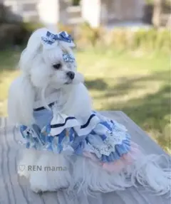 プリンセスドレス 爽やかベビーブルートーン フリルたっぷりワンピース