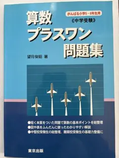 Item thumbnail for item 59044172-dae5-4f03-b16b-af0693b80e9e