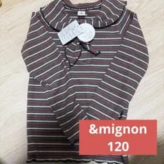 バースデイ　&mignon ボウタイマルチ