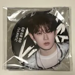 treasure ジュンギュ 缶バッジ キングコング