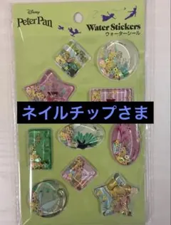 ネイルチップ様