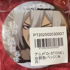2025年最新】氷月 dr.stone 缶バッジの人気アイテム - メルカリ