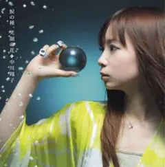 中川翔子 涙の種、笑顔の花 CDシングル