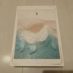 iPad Pro 10.5インチ
