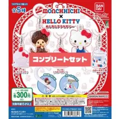 モンチッチ×ハローキティ　めじるしアクセサリー　コンプリート