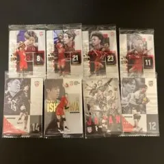 バレーボール 男子日本代表 ウエハース カード