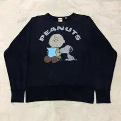 Item thumbnail for item 2a7a439f-bee0-4b06-bb1d-83dc8e12e700