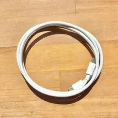 ホワイトUSB-C充電ケーブル Type-C iPhone 新品 未使用品