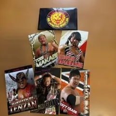 新日本プロレス トレーディングカード 5枚セット