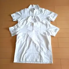 Item thumbnail for item b1f6b888-1653-4fd2-8cfb-2dc9e29814ac