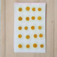 さお様 リクエスト 2点 まとめ商品