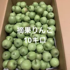 摘果りんご　10キロのサムネイル