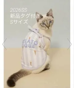 gelato pique 接触冷感 ストライプ柄Coolingプルオーバー Sのサムネイル