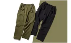 Item thumbnail for item 362d72ea-3007-4c22-ba8b-86b9758708f3