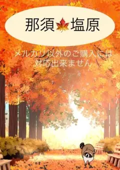 2026年最新】バスガイド資料の人気アイテム - メルカリ