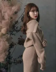 Her lip to ハーフジップ リブニット ベージュ