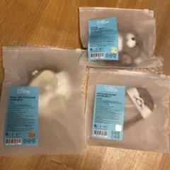 新品未開封　BOYNEXTDOOR プネクド リウ ダーリン