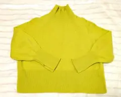 アダムエロペ〈F〉タートルニット