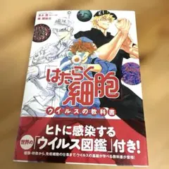 Item thumbnail for item be1e5d50-8848-44c8-9bcb-5670438a5c4f