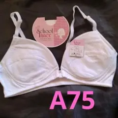 くましゃん様 リクエスト 2点 まとめ商品