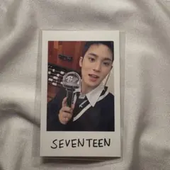 SEVENTEEN Holiday チェキ ミンギュ