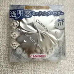 【この夏最強！サラサラだよ】キャンメイククリアヴェールセッティングパウダー 01のサムネイル