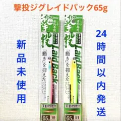 撃投ジグ レイドバック 65g ピンクグロー タイドグリーングロー 2点セットのサムネイル