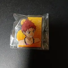 2025年最新】ハイスピード 缶バッジの人気アイテム - メルカリ