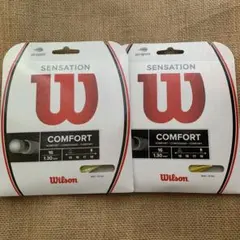 【2点セット】Wilson SENSATION テニスガット 16 1.30mmのサムネイル