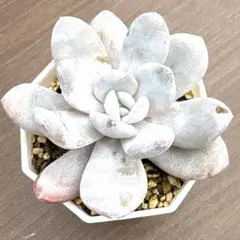 Mariri様 リクエスト 3点 まとめ商品