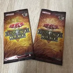 【即時発送】遊戯王　オリジナルアートワークコレクション　2P