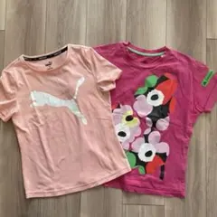 140cm 150cm Tシャツ 2点セット アディダス プーマ