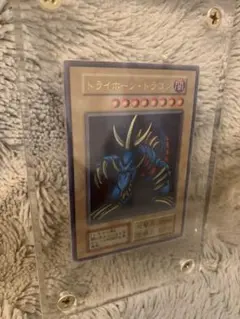 即日発送！大会用　スネークアイ　デッキ　篝火　賜炎の咎姫　チキンレース 即日発送！大会用 スネークアイ デッキ 篝火 賜炎の咎姫 チキン