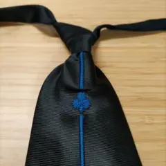 Item thumbnail for item 44815939-c909-4d82-b67e-09534da75629