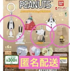 スヌーピー　めじるしアクセサリー　FUNNY ver. PEANUTS