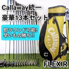 S856 キャロウェイ ゴルフクラブ メンズ フルセット 13点 ERC 初心者